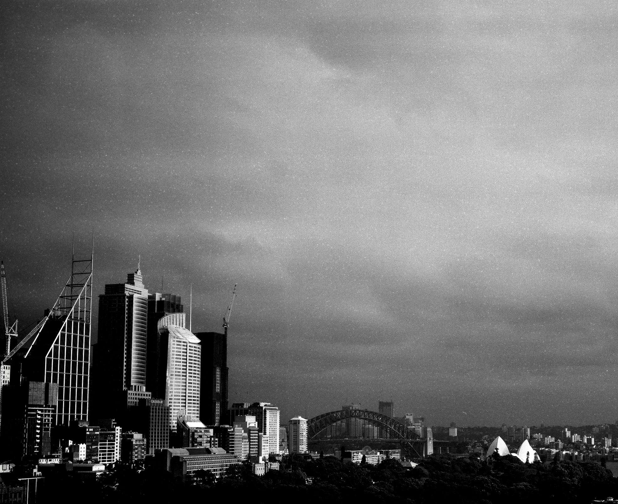 Sydney Harbour Bridge. Taken in October 2018, with Mamiya 7ii and 80mm lens, and Kodak T-Max 100 120 film