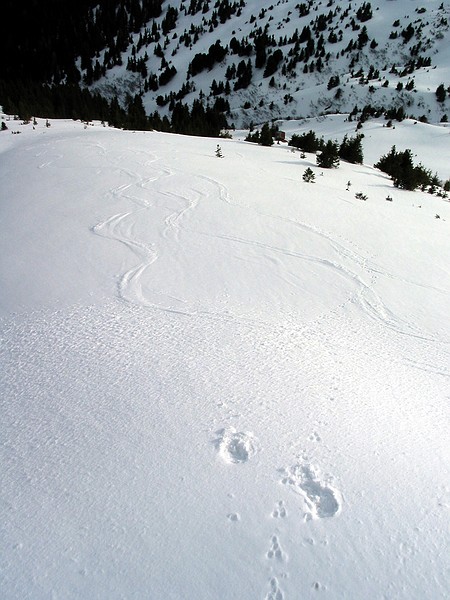 Zell Am See, Austria