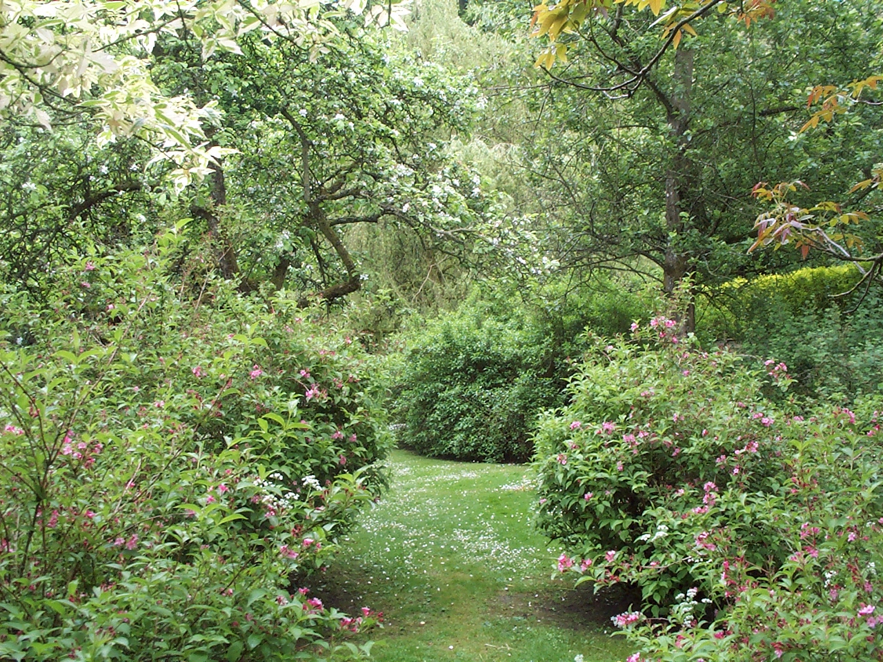 Garden at Bibury Court