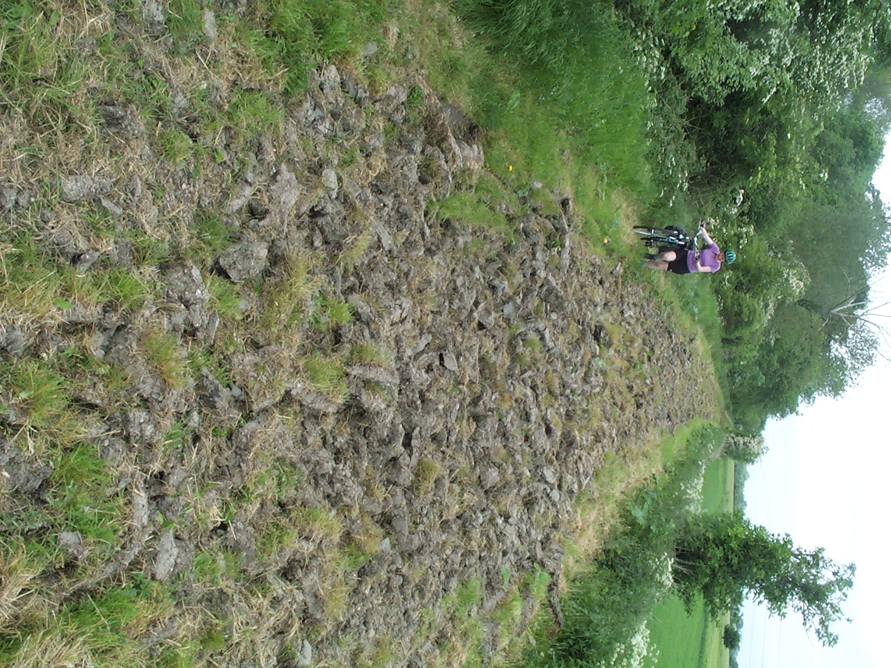 A horribly ploughed bridle path