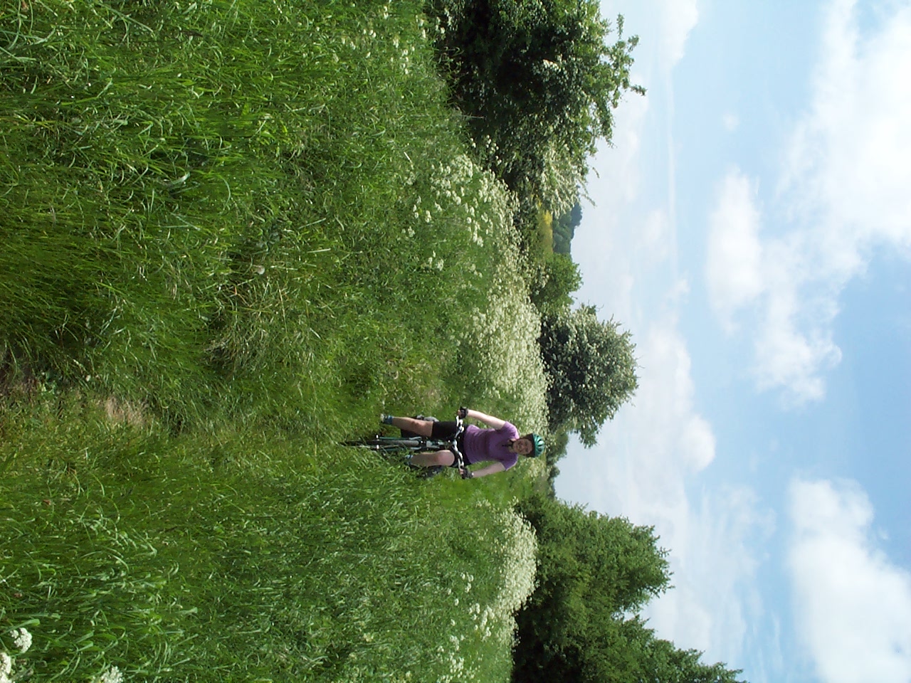 Can you see the path?