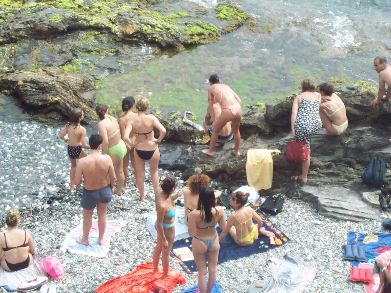 An interesting fish washed up